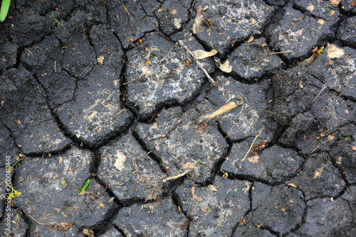 Cracked dark earth texture with dry leaves and sparse green grass sprouts
