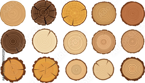 Wood log cross sections collection with tree rings textures, natural timber slices and growth patterns vector illustration set