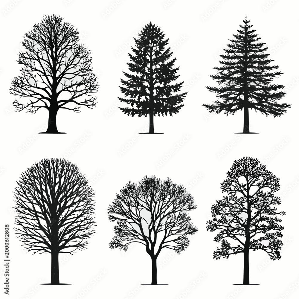 Obraz premium six tree silhouettes in black and white vector set