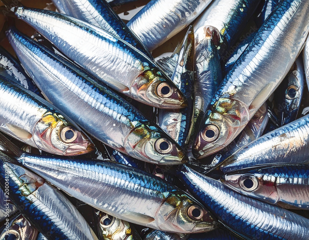 Fototapeta premium Fresh anchovies, whole raw, closeup, full frame, macro shot. AI