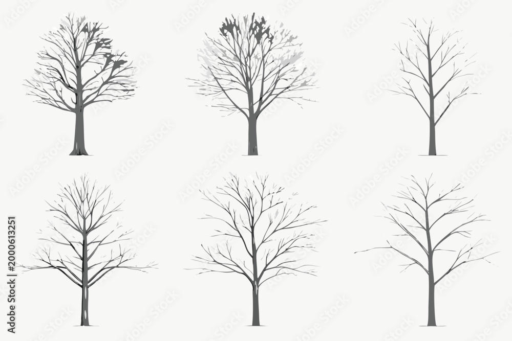 Obraz premium bare trees in sketch style on white background