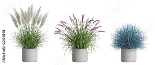 Tableau sur toile Potted ornamental grass PNG landscaping set