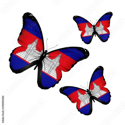 Three colorful butterflies flying together in formation