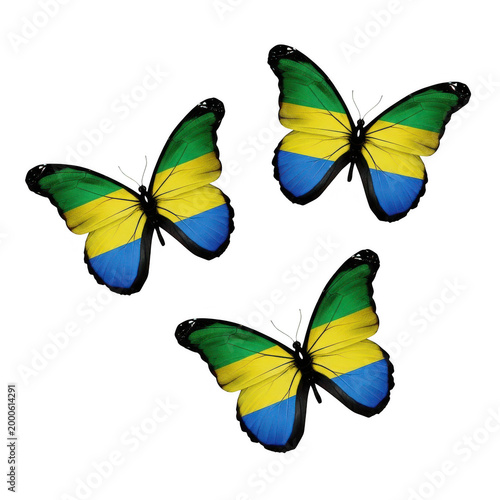 Three colorful butterflies flying together in nature