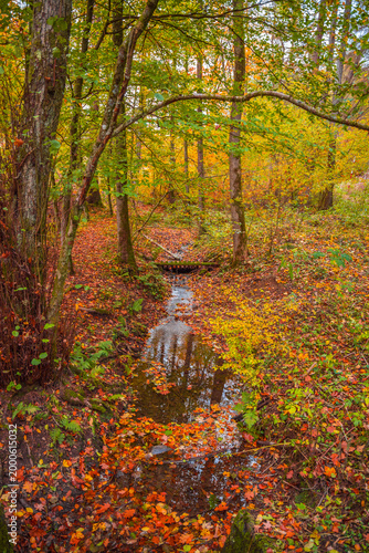 Versetalsperre im Herbst (Rundweg)