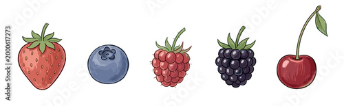 Fresh berries and fruits, including strawberry, blueberry, raspberry, blackberry, and cherry, are depicted in a vibrant, hand-drawn illustration style, perfect for healthy eating concepts.