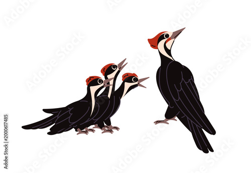 Mother woodpecker cares about her babies, feeds them. Family of forest birds in nest. Cute mom wood pecker with nestlings. Animal parents and kids. Flat isolated vector illustration on white