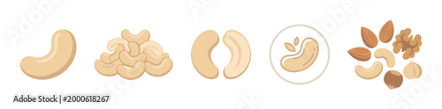 Various delicious nuts and cashews are depicted in a flat, modern illustration style, showcasing healthy snack options and ingredients.