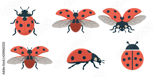 Six adorable ladybugs are illustrated in various poses, showcasing their distinctive red and black spotted shells and delicate wings.