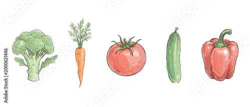 Various fresh vegetables are depicted in a vibrant hand-drawn illustration, showcasing healthy and organic produce for a balanced diet.