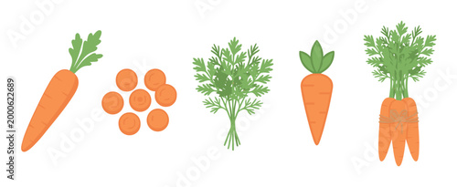 Various fresh orange carrots and their green leaves displayed in different forms, including whole, sliced, and bundled, illustrating healthy vegetable options.