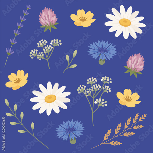 Set of wildflower elements including chamomile, cornflower and meadow plants arranged as separate botanical pieces. Decorative floral clipart in flat style on blue background, ideal for patterns