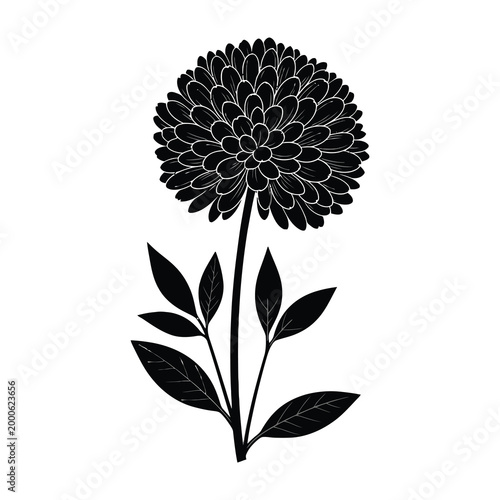 Black and white illustration of a chrysanthemum flower on a stem with leaves isolated on white background
