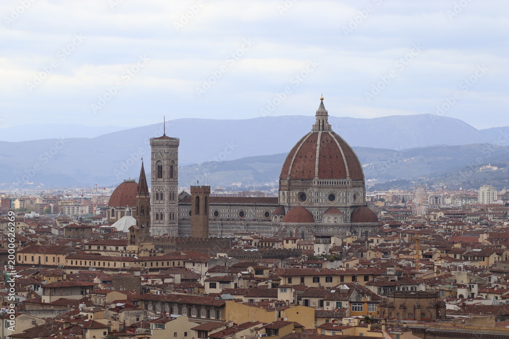 Fototapeta premium view of florence