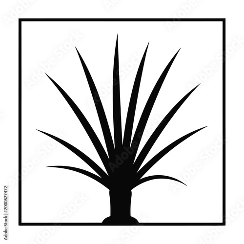 Aloe plant silhouette with long sharp leaves in black square frame on white background