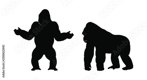 two gorillas in different poses silhouette high quality