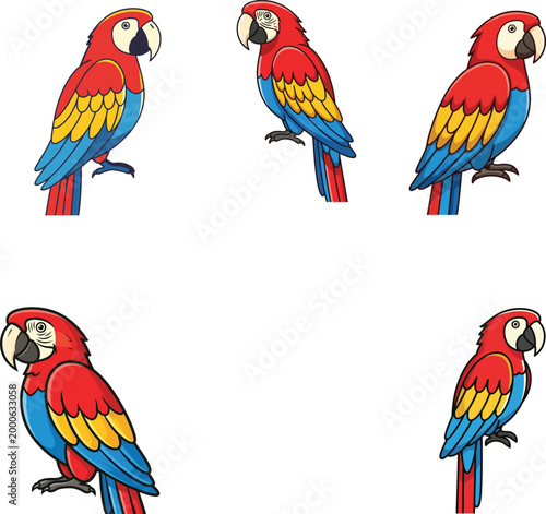 Cuadro en lienzo Scarlet red macaw parrot vector illustration set featuring colorful tropical bir