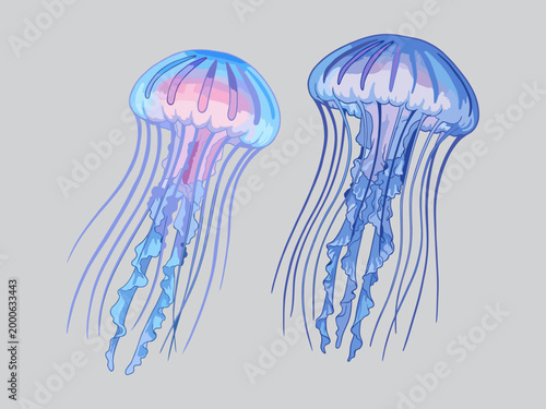 Two glowing blue jellyfish digital illustration 