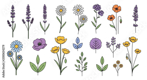 Collection of Hand Drawn Botanical Illustrations of Flowers and Leaves.