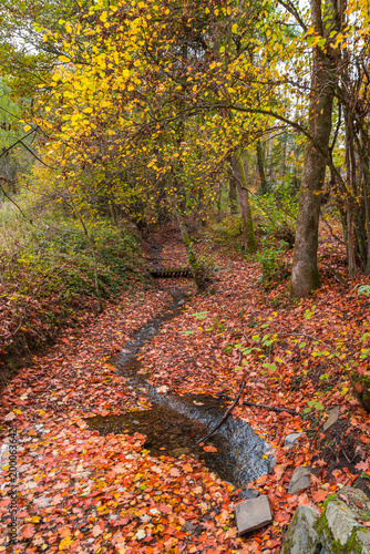 Versetalsperre im Herbst (Rundweg)