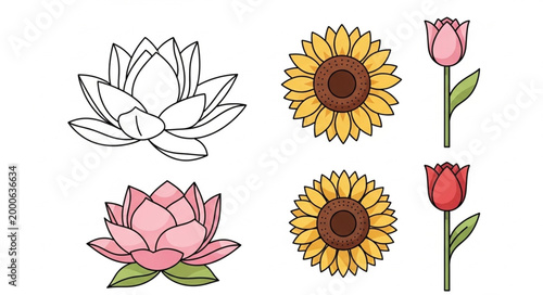 Collection of Hand Drawn Flowers Including Lotus Sunflowers and Tulips.
