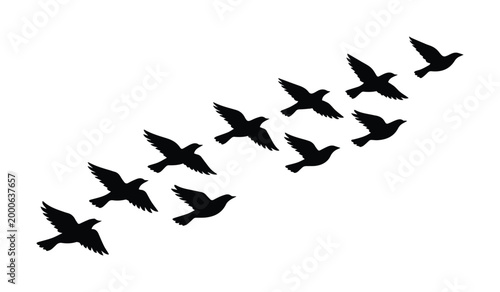Siluetas de aves volando en formación, bandada de pájaros migratorios en vuelo, diseño vectorial minimalista de aves en movimiento, libertad y naturaleza