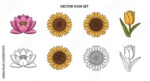 Collection of beautiful flower icons in color and outline.