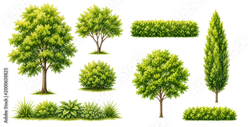 A charming watercolor set of garden plants and trees featuring lush green foliage shrubs hedges and decorative landscaping elements illustrated in a natural botanical style.