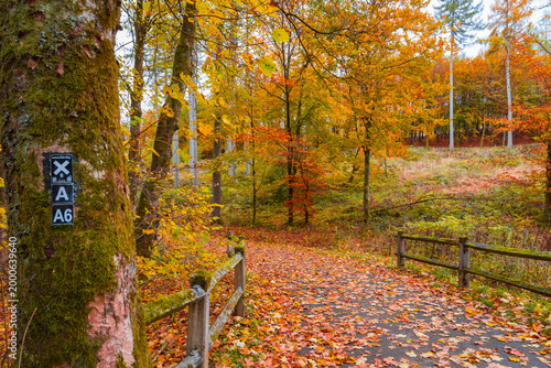 Versetalsperre im Herbst (Rundweg)