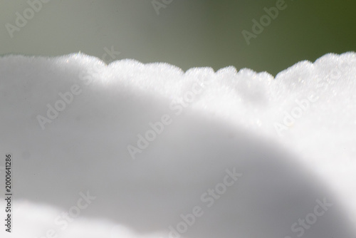 blume weiß makro nah natur