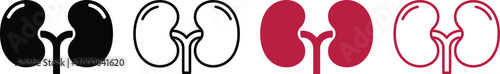 Stylized icons of human kidneys in black, outline, and red colors.