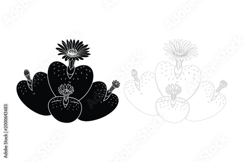 Vector illustration of prickly pear cacti with flowers and succulents, succulent