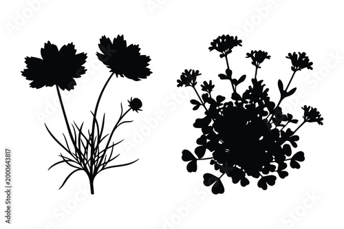 Black silhouette vector illustrations of two flowering plants with silhouette
