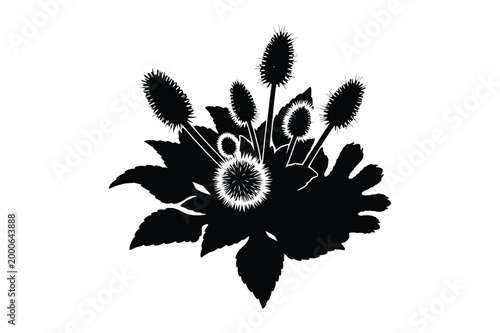 Black and white illustration of a bouquet with spiky seed heads and large leaves