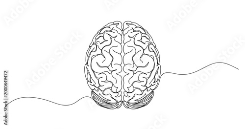 Continuous line drawing of a detailed human brain on white background. no editable stroke