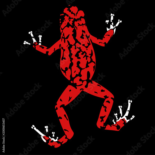 a red poisonous forest frog with a black background.reptile animal beautiful skin texture on black background