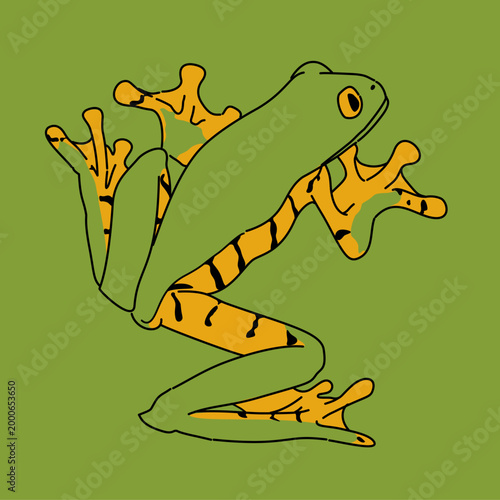 a yellow green poisonous forest frog with a green background.reptile animal beautiful skin texture on green background