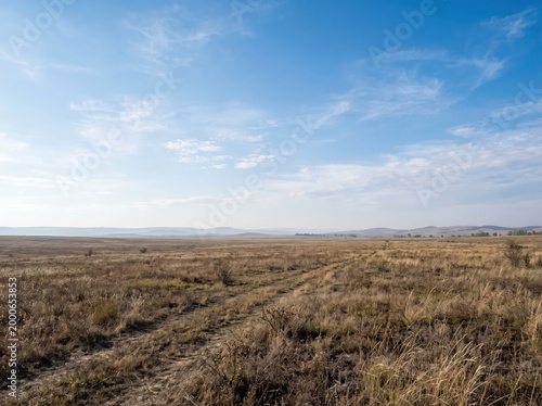 Expansive grassland plain under a blue sky for landscape background and wide open scenery wallpaper