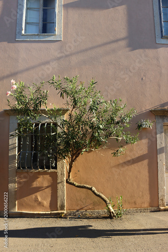 Traditional Mediterranean architecture in small town Orebic, on Peljesac peninsula, Croatia.