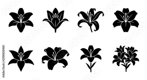 Elegant Lily Flower Silhouettes, 8 Vector Icons Set, Botanical Floral Graphics for Design Projects