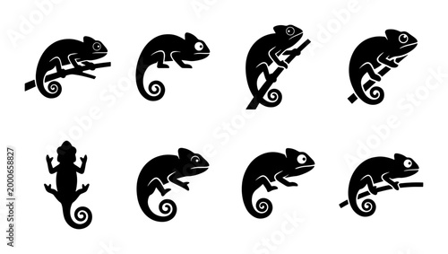 Chameleon silhouette icons set, black lizard reptile vector graphics, 8 exotic animal logo elements, tropical wildlife nature symbols