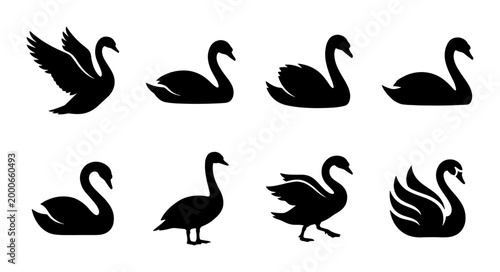 Foto Elegant Black Swan Silhouettes Collection, Graceful Waterfowl Vector Icons, Vers