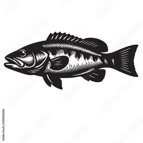 Underwater Marine Animal Silhouette Vector Set – Ocean Creatures Mandala, Sea Life SVG, Turtle Dolphin Fish Shark, Black Tribal Clipar