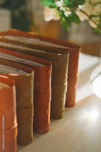 Row of leather bound books on a desk with soft natural light and a blurred floral background, conveying study, reading, and quiet intellectual work
