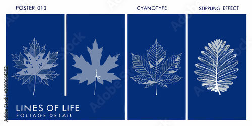 four scientific posters showcasing detailed white foliage on blue backgrounds high quality professional modern elegant