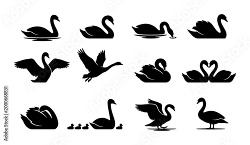 Canvas Print Swan silhouette vector collection, 12 elegant bird icons in various poses, black