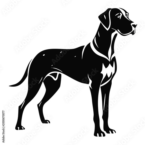 Great Dane dog silhouette vector illustration. Stylized canine pet logo icon. Animal graphic design isolated on transparent background