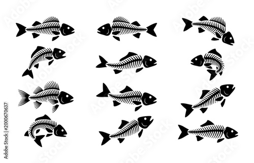 Canvastavla Fish skeleton vector icons set, black and white fish bone silhouettes, 12 anatom