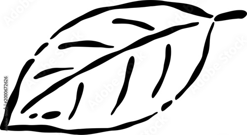 Fotografia Simple leaf outline botanical line art isolated leaf shape dark contour plant dr