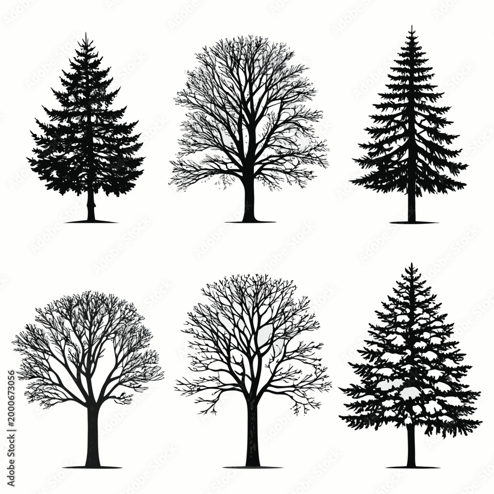 Obraz premium tree silhouettes in black and white vector set